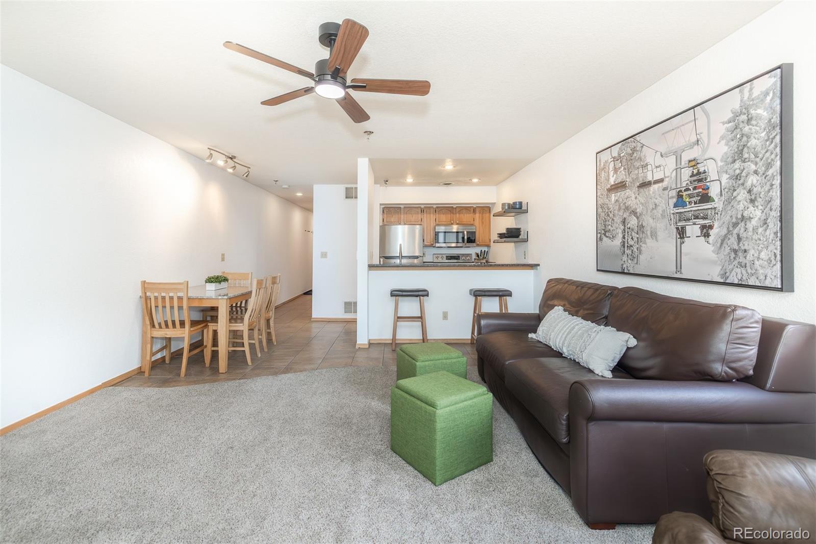 MLS Image #17 for 715 s 5th avenue,frisco, Colorado