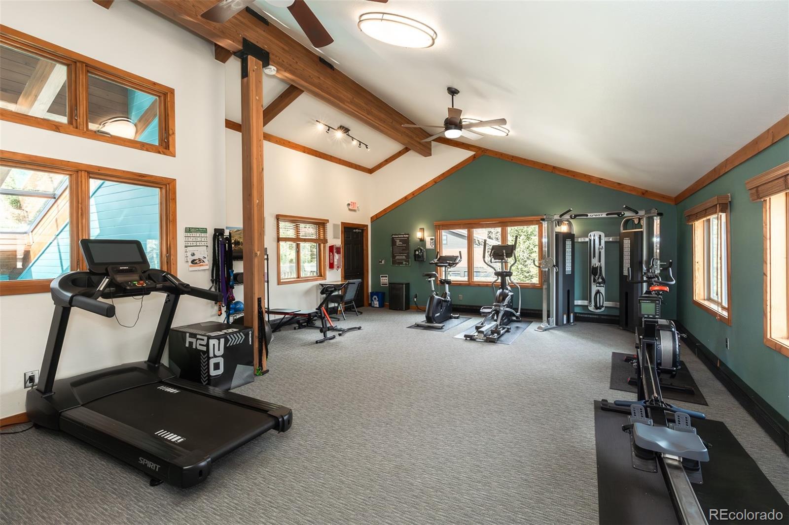 MLS Image #25 for 715 s 5th avenue,frisco, Colorado