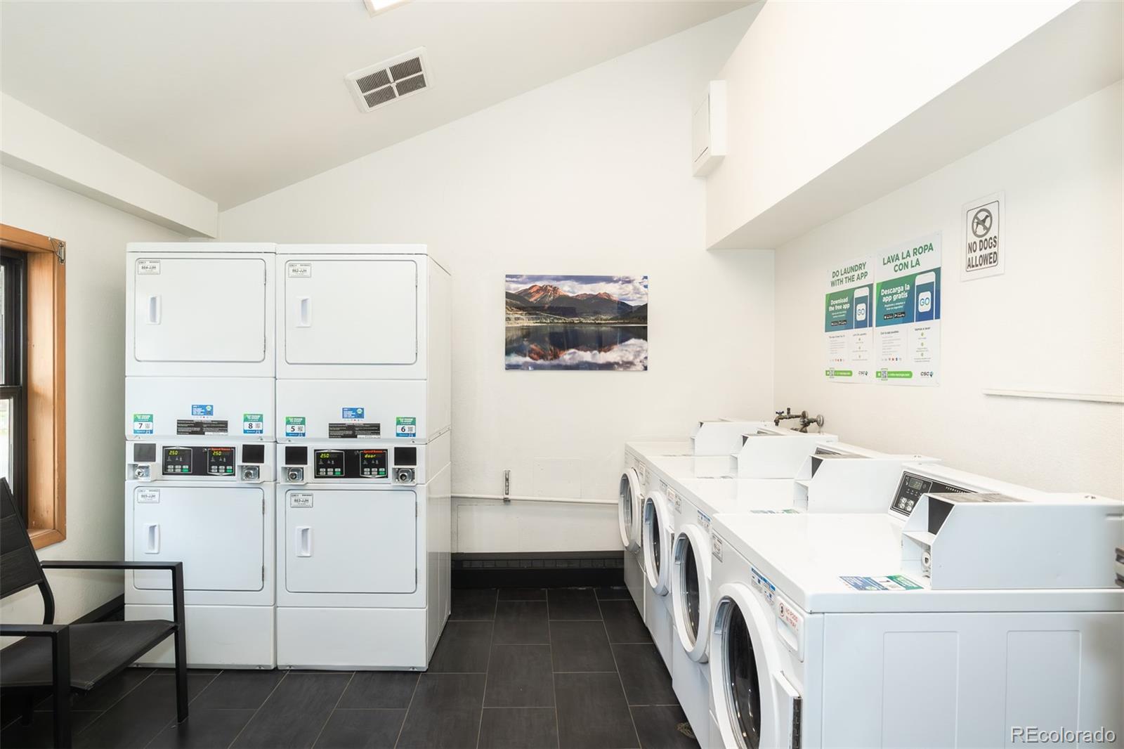 MLS Image #34 for 715 s 5th avenue,frisco, Colorado