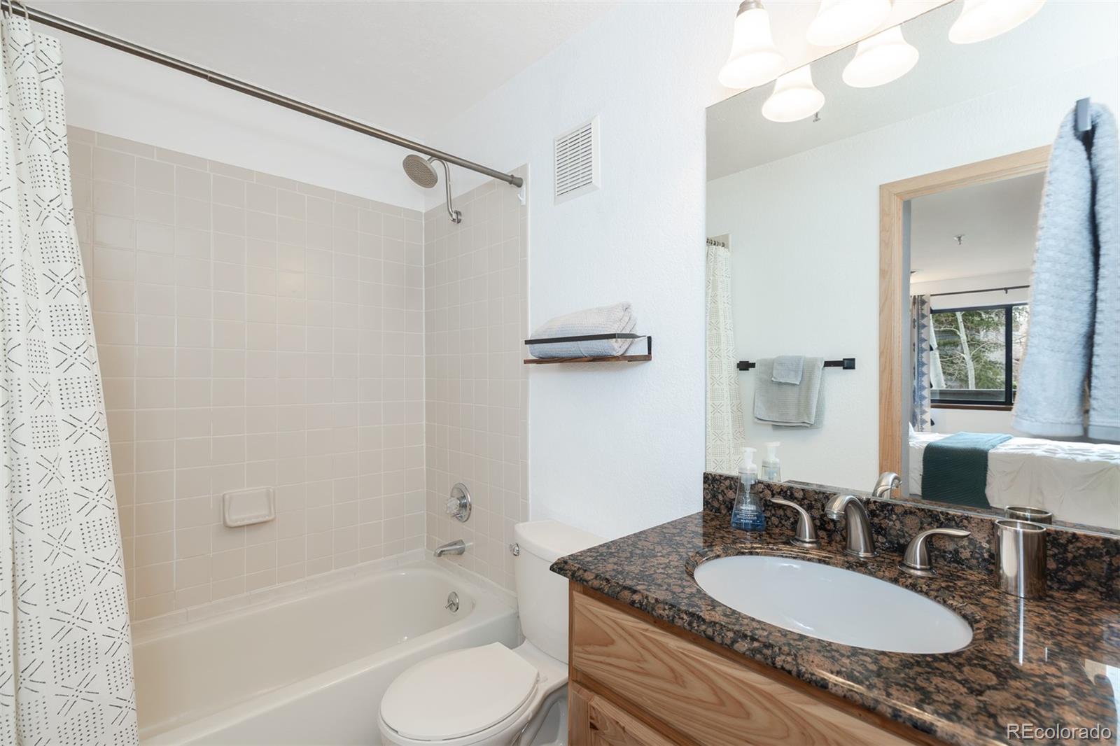 MLS Image #8 for 715 s 5th avenue,frisco, Colorado