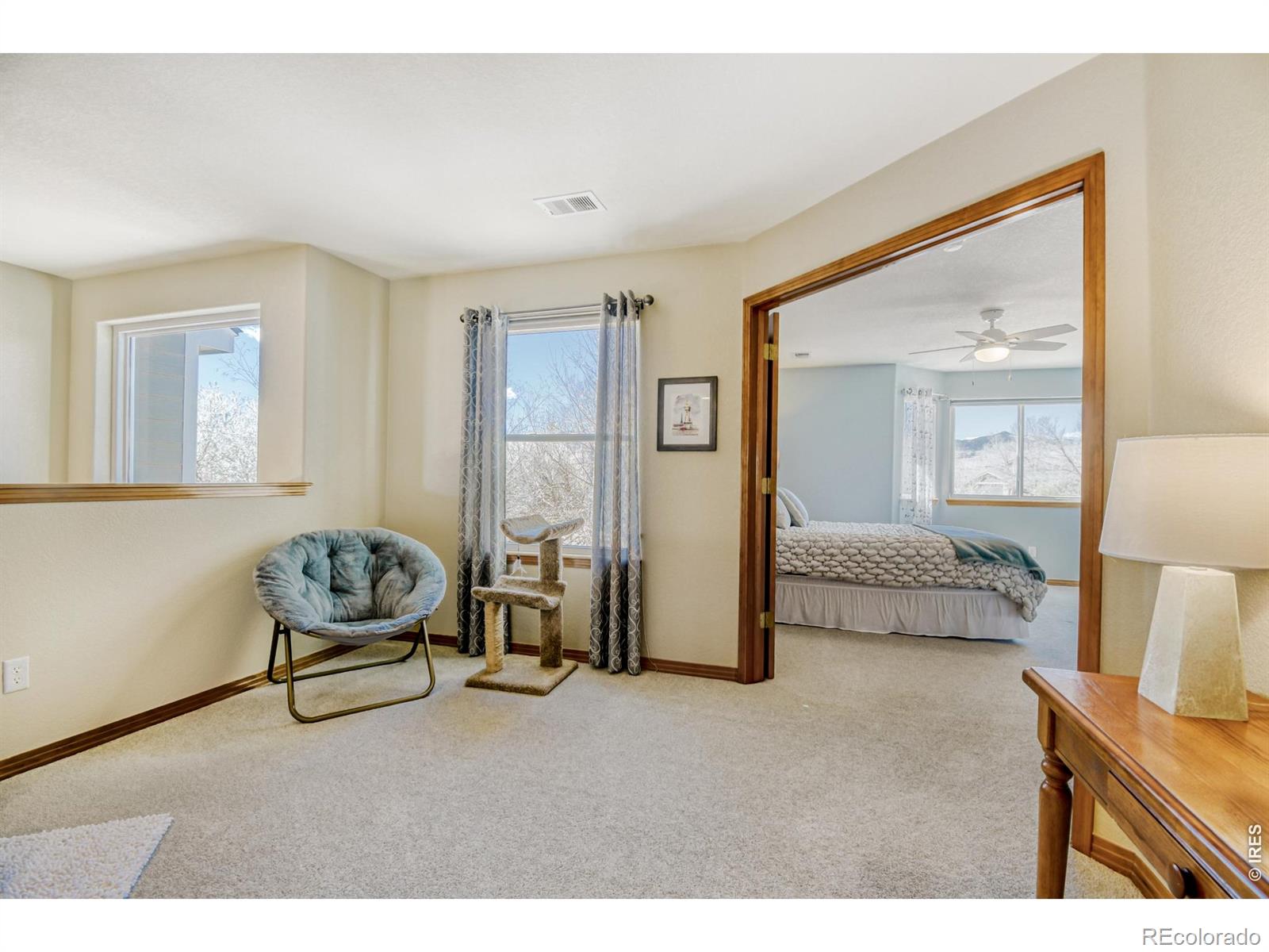 MLS Image #24 for 6350  wier way,arvada, Colorado