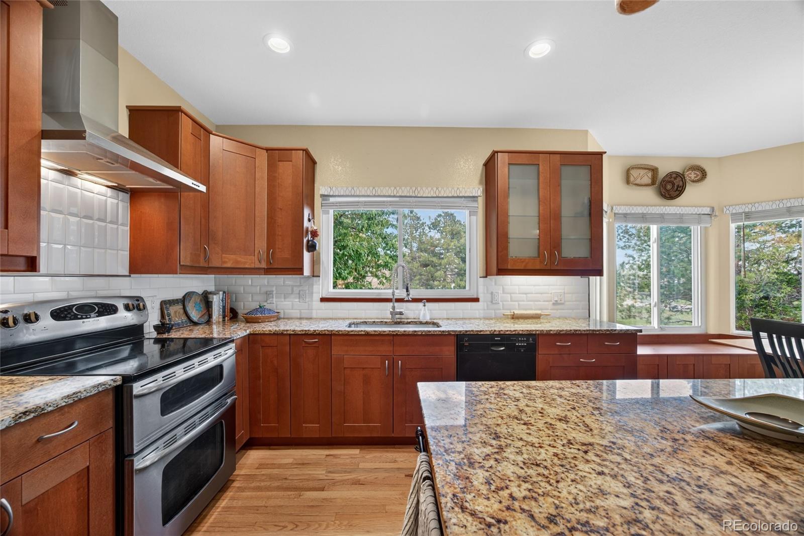 MLS Image #12 for 10232  mica way,parker, Colorado