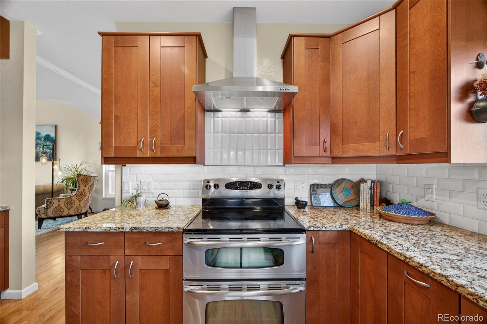 MLS Image #14 for 10232  mica way,parker, Colorado