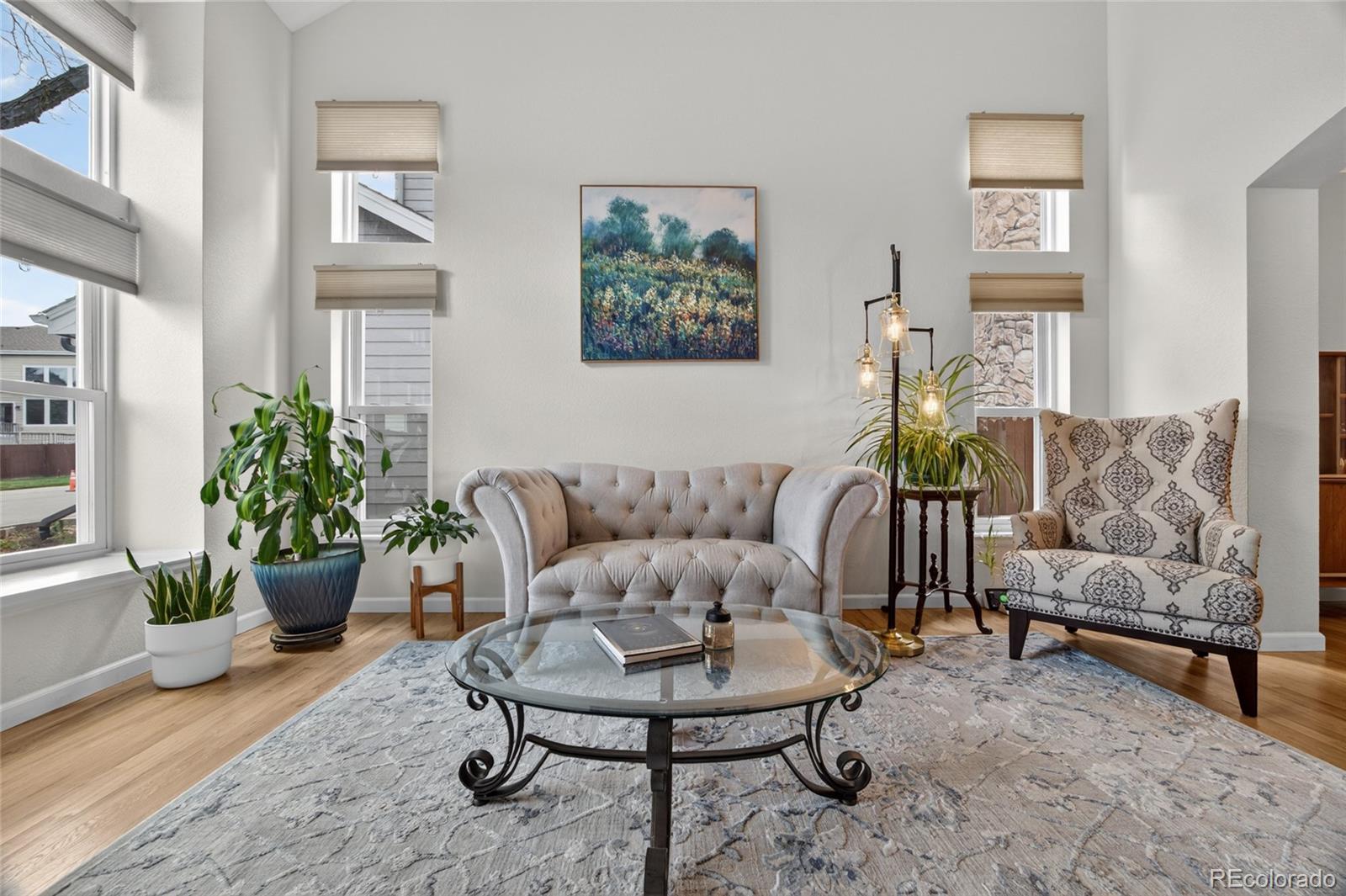 MLS Image #3 for 10232  mica way,parker, Colorado
