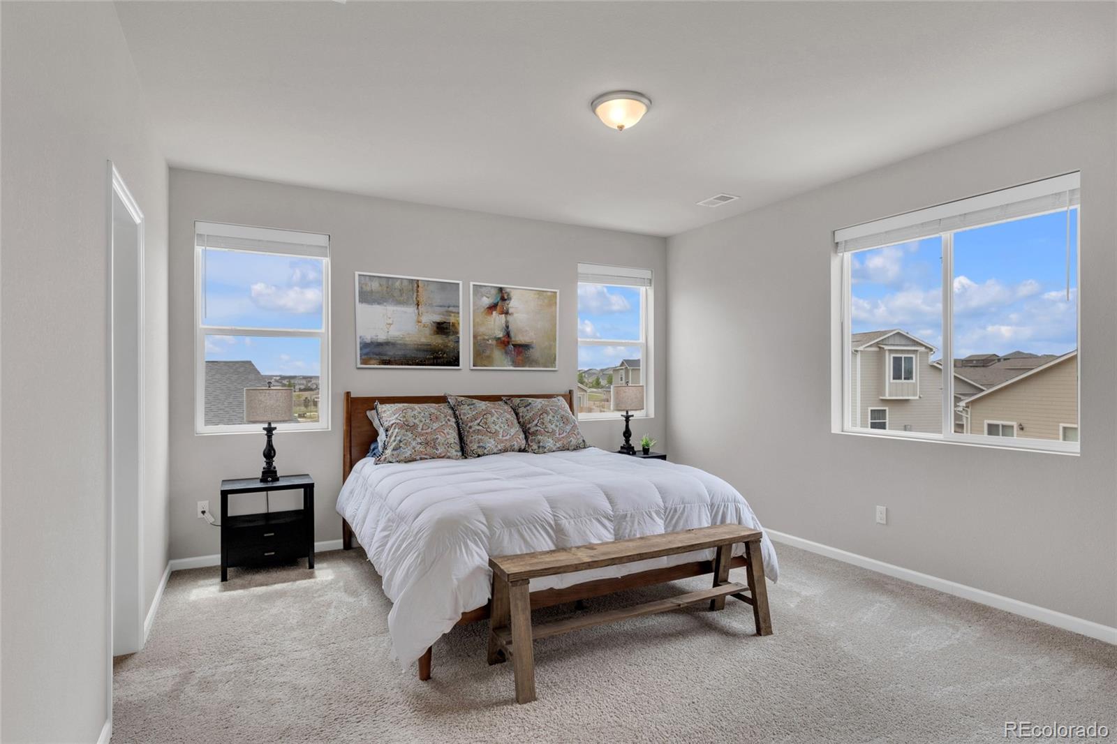 MLS Image #18 for 735  sunflower drive,brighton, Colorado