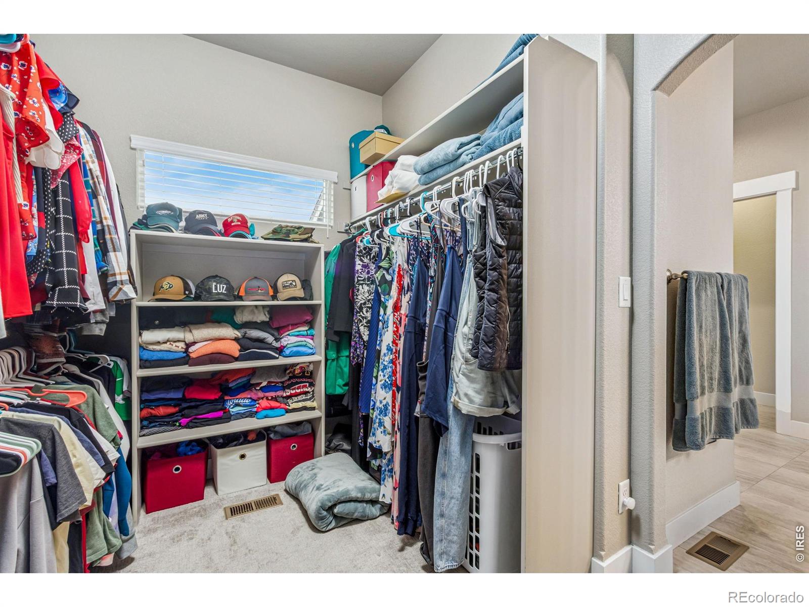 MLS Image #20 for 7161  silver court,timnath, Colorado