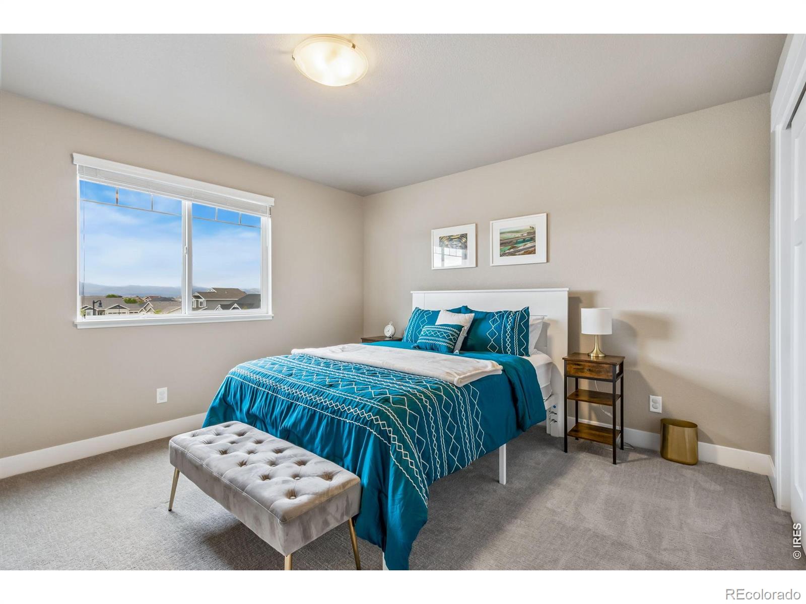 MLS Image #24 for 7161  silver court,timnath, Colorado
