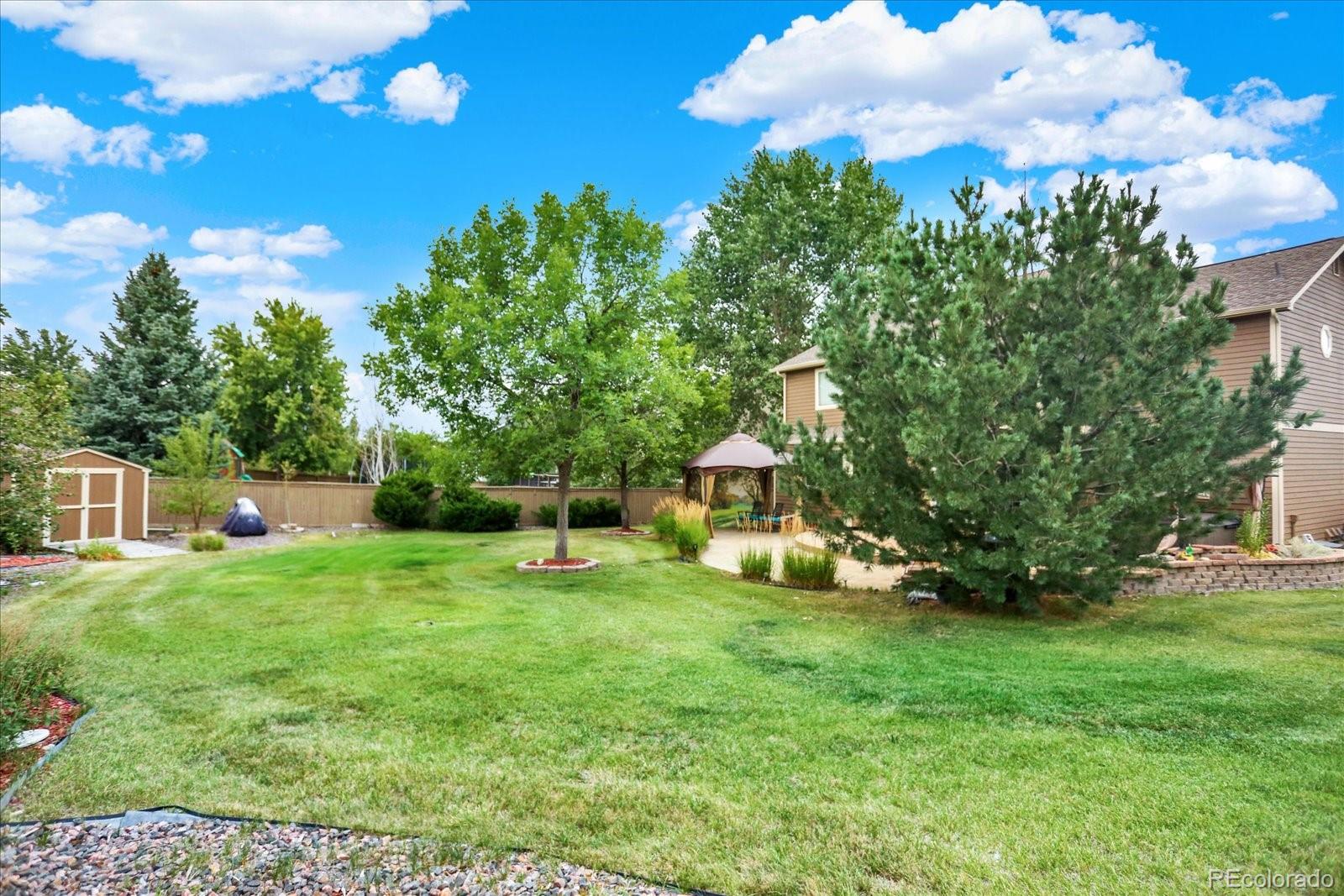 MLS Image #37 for 1080  oldfield street,castle rock, Colorado