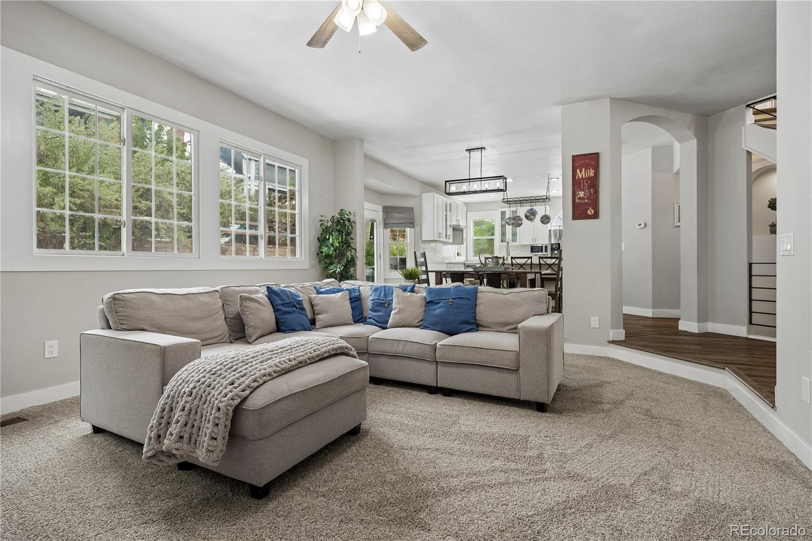 MLS Image #11 for 117  willowleaf drive,littleton, Colorado