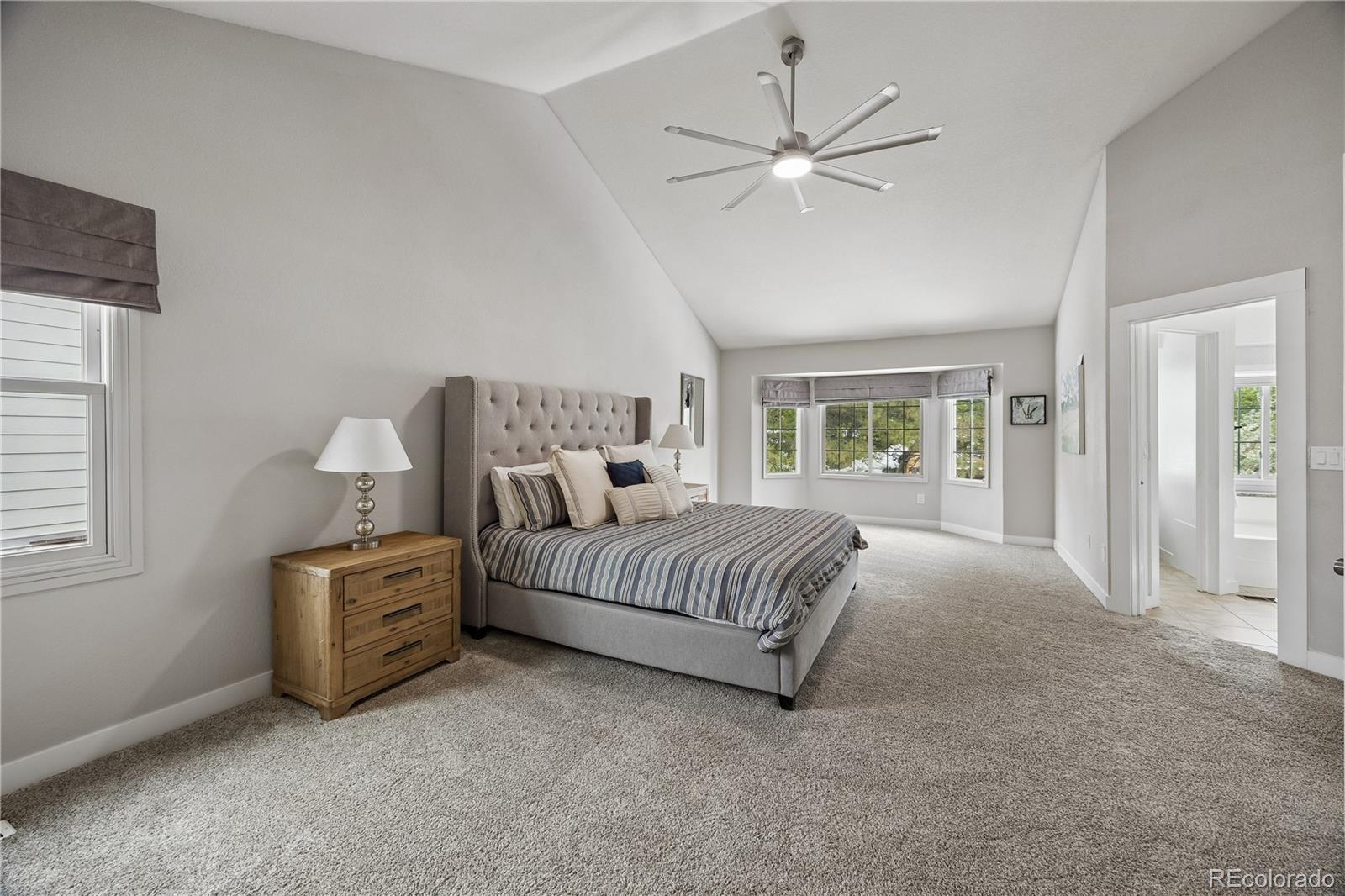 MLS Image #16 for 117  willowleaf drive,littleton, Colorado