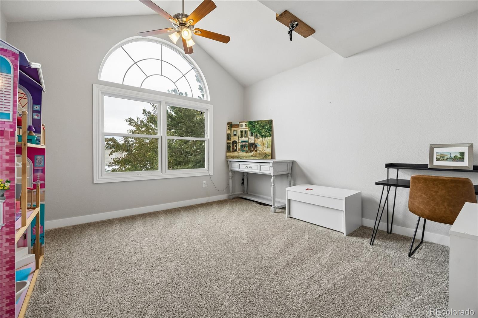 MLS Image #23 for 117  willowleaf drive,littleton, Colorado