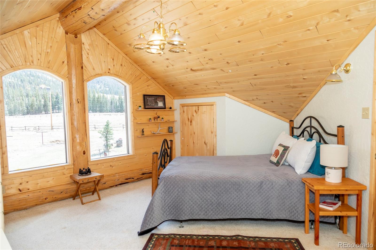 MLS Image #18 for 108  forest road,creede, Colorado