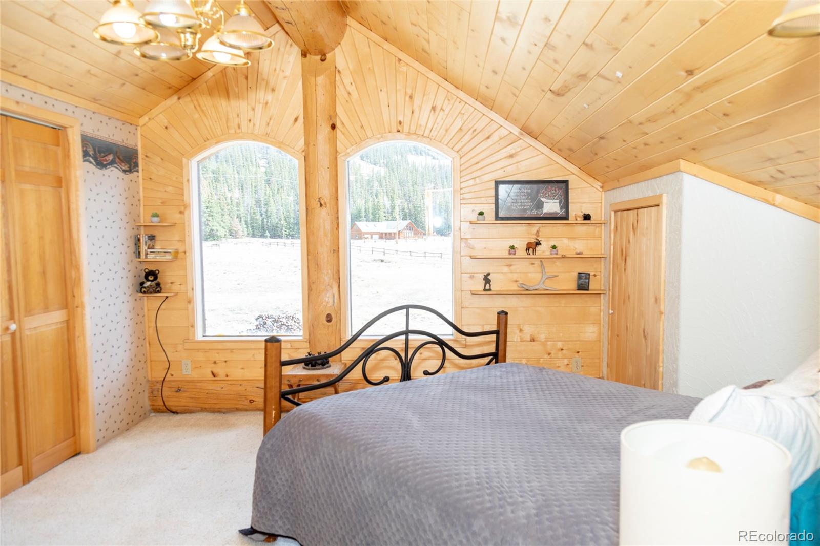 MLS Image #19 for 108  forest road,creede, Colorado