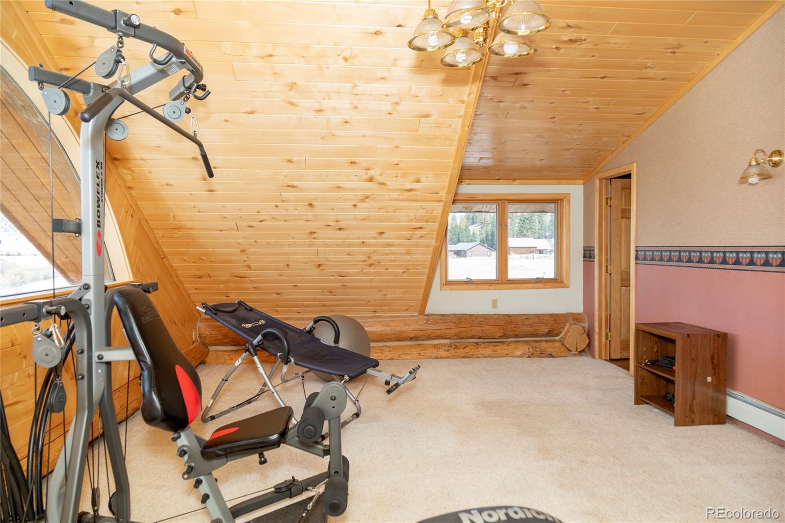 MLS Image #20 for 108  forest road,creede, Colorado