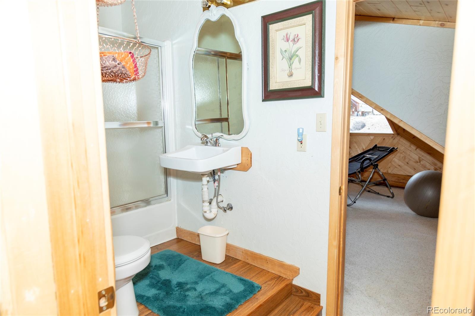 MLS Image #21 for 108  forest road,creede, Colorado