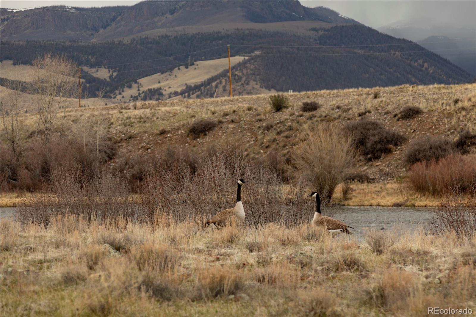 MLS Image #33 for 108  forest road,creede, Colorado
