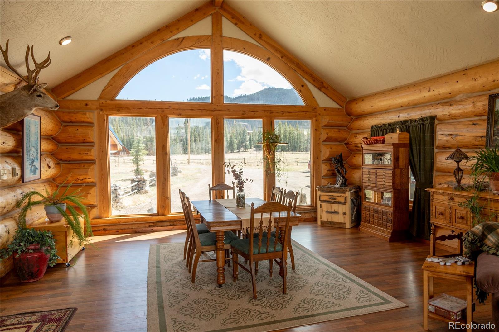 MLS Image #9 for 108  forest road,creede, Colorado