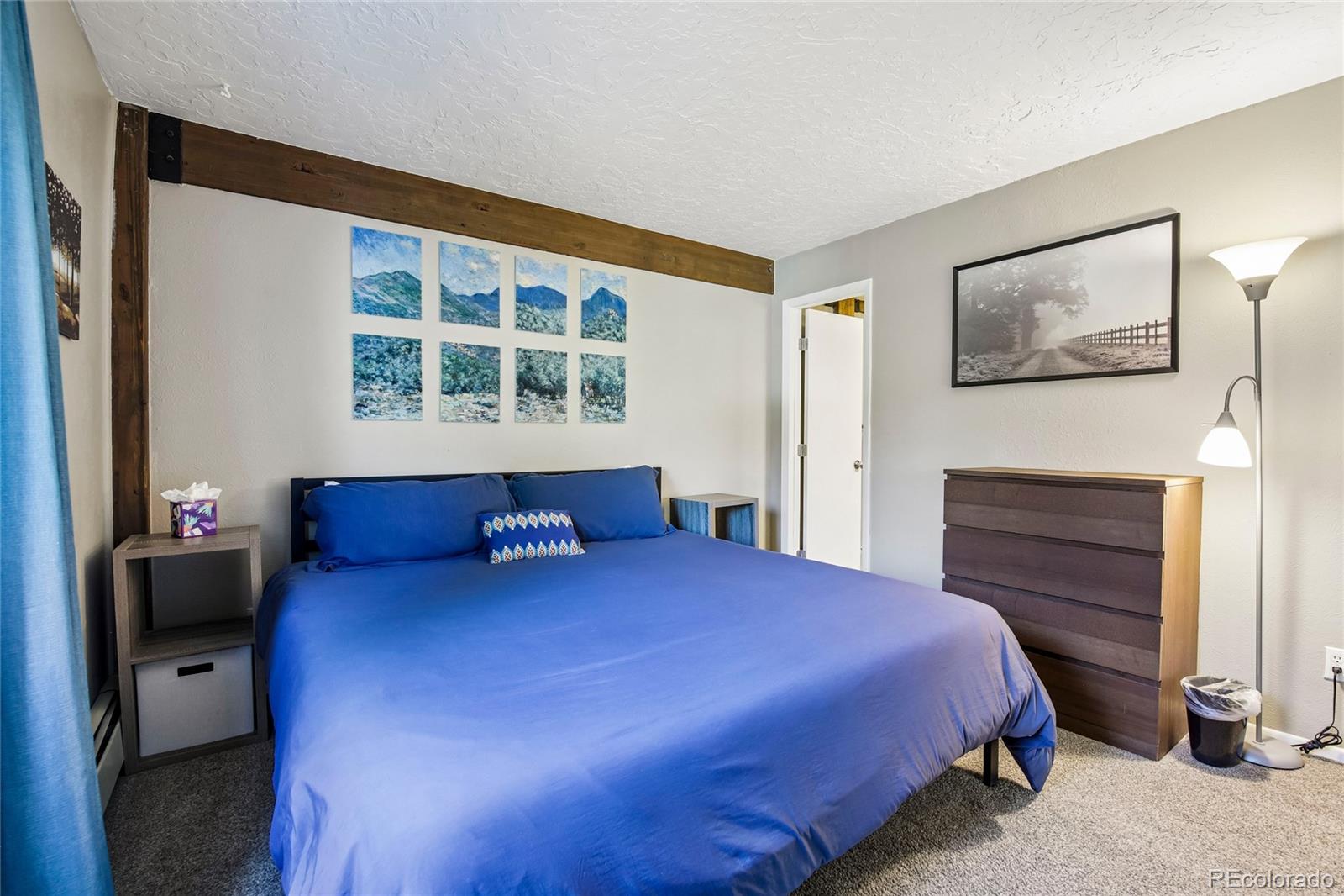 MLS Image #11 for 101  ryan gulch court,silverthorne, Colorado