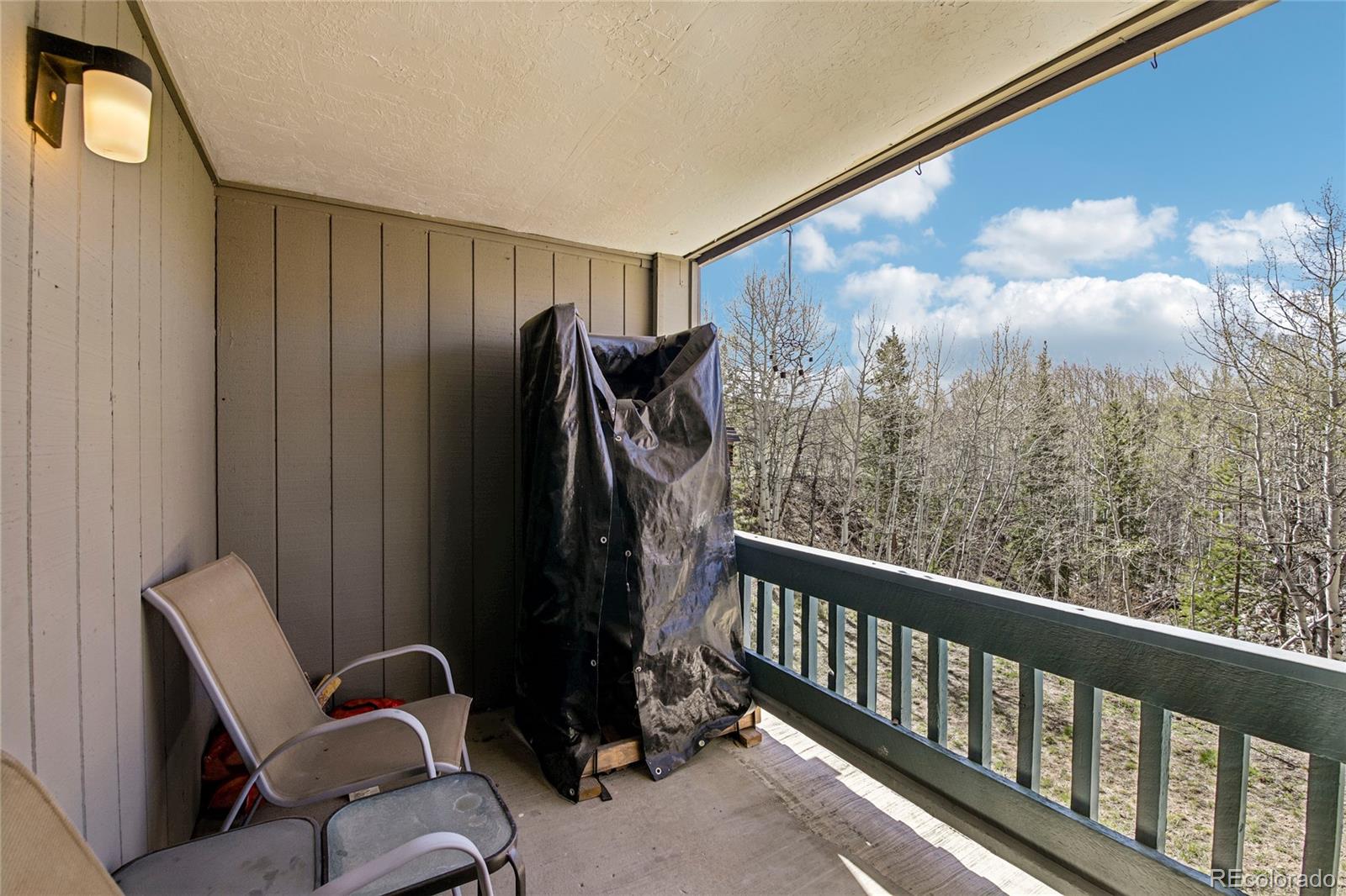 MLS Image #16 for 101  ryan gulch court,silverthorne, Colorado