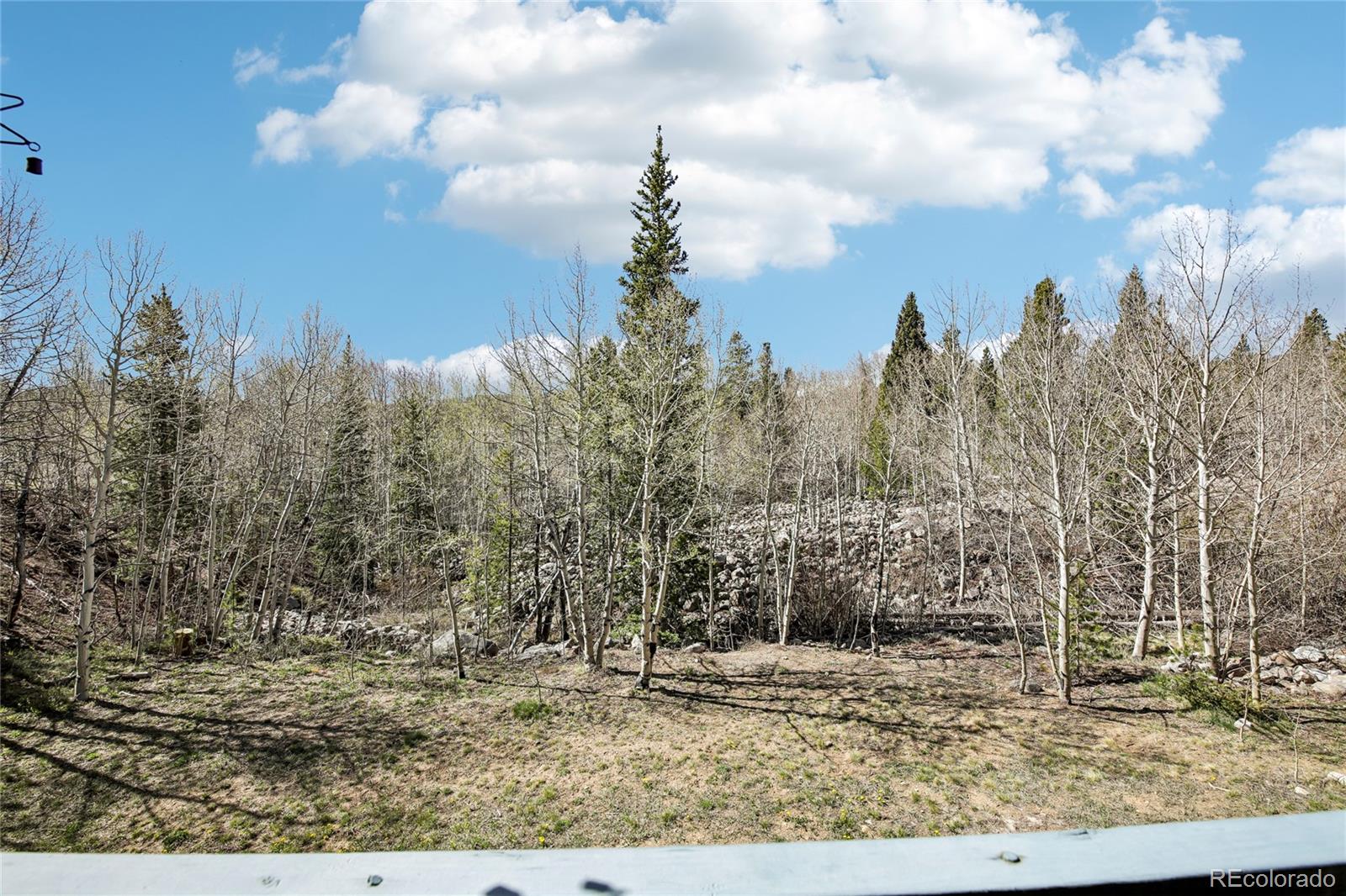 MLS Image #17 for 101  ryan gulch court,silverthorne, Colorado