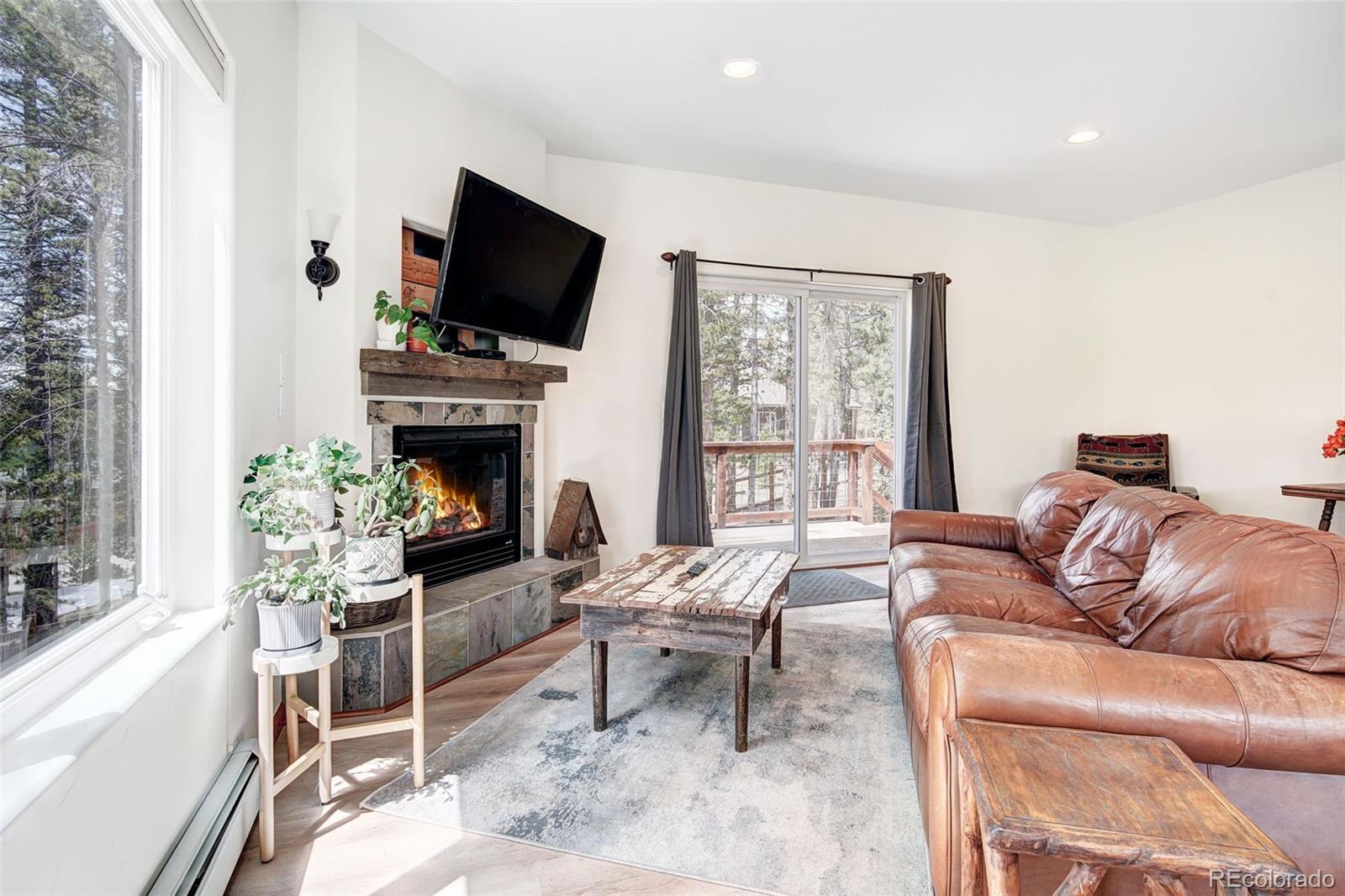 MLS Image #12 for 148  imogene circle,leadville, Colorado