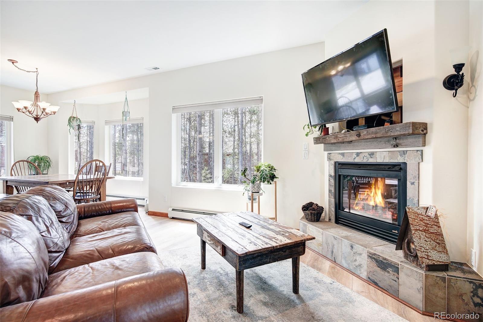 MLS Image #13 for 148  imogene circle,leadville, Colorado