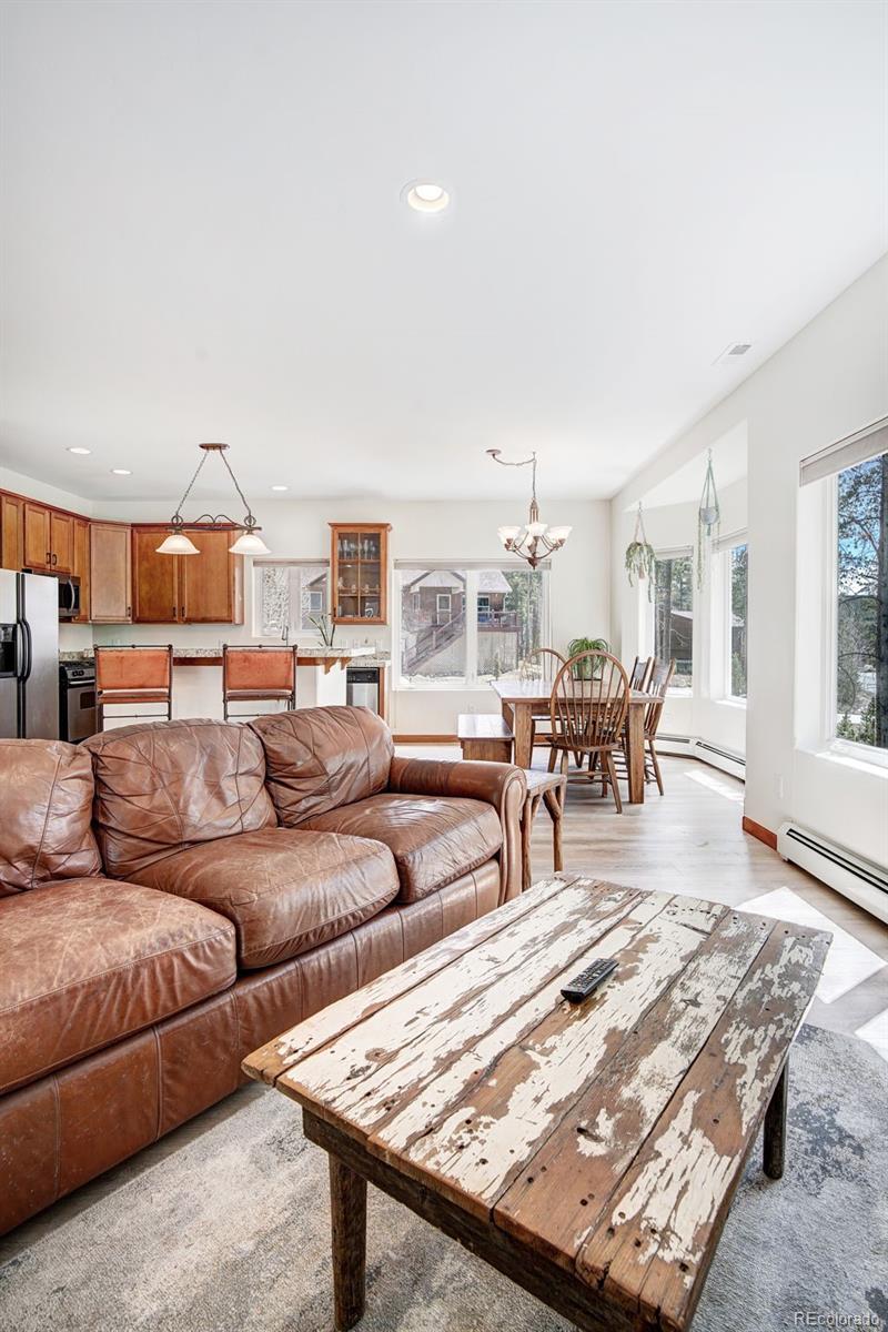 MLS Image #14 for 148  imogene circle,leadville, Colorado