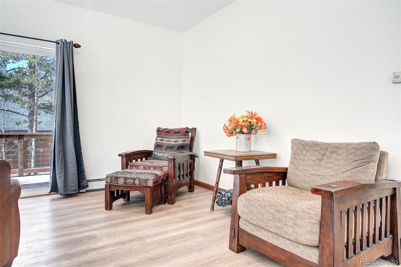 MLS Image #15 for 148  imogene circle,leadville, Colorado