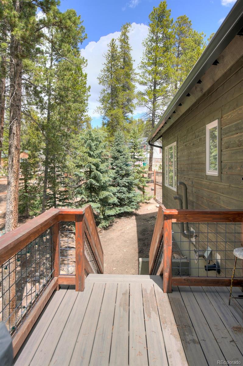 MLS Image #16 for 148  imogene circle,leadville, Colorado