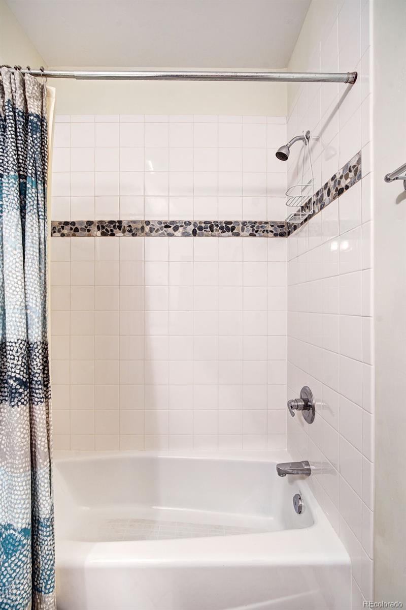 MLS Image #20 for 148  imogene circle,leadville, Colorado