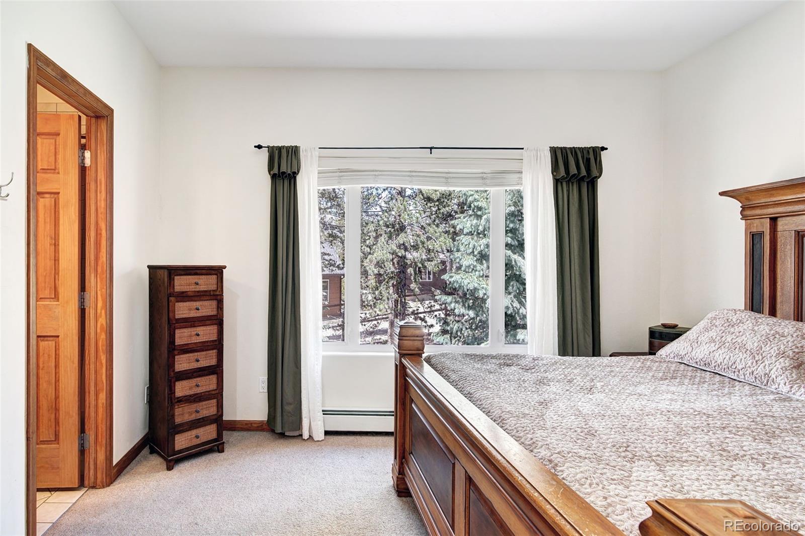 MLS Image #21 for 148  imogene circle,leadville, Colorado