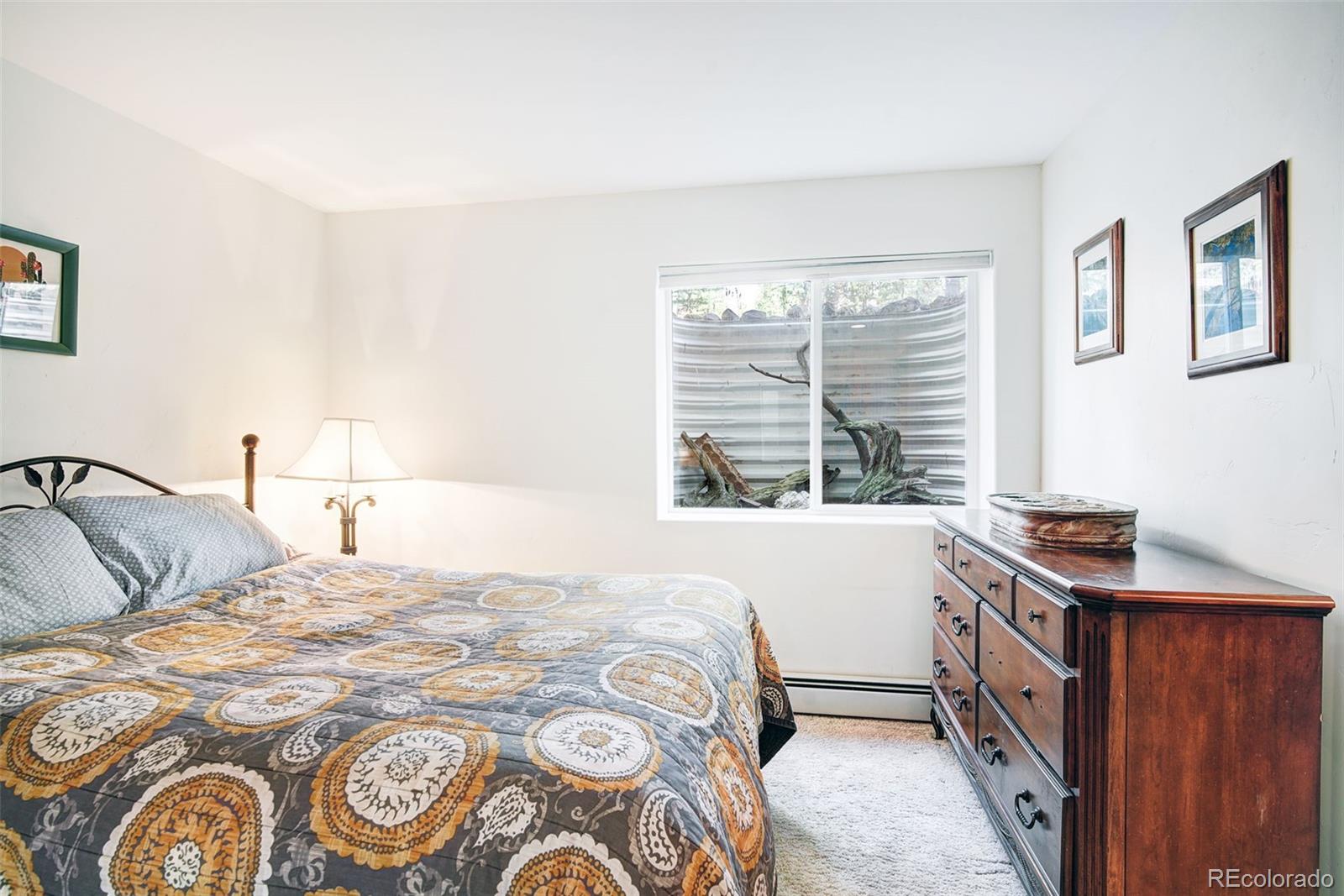 MLS Image #24 for 148  imogene circle,leadville, Colorado