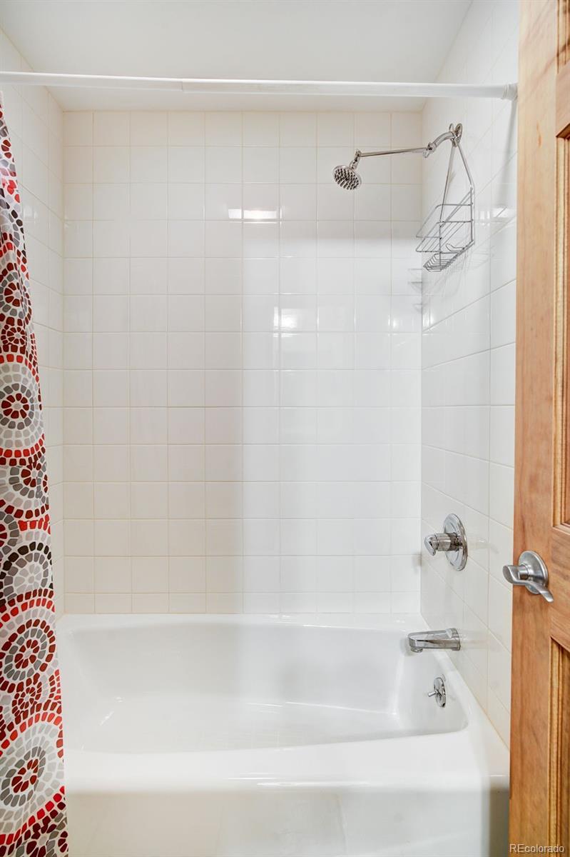 MLS Image #27 for 148  imogene circle,leadville, Colorado