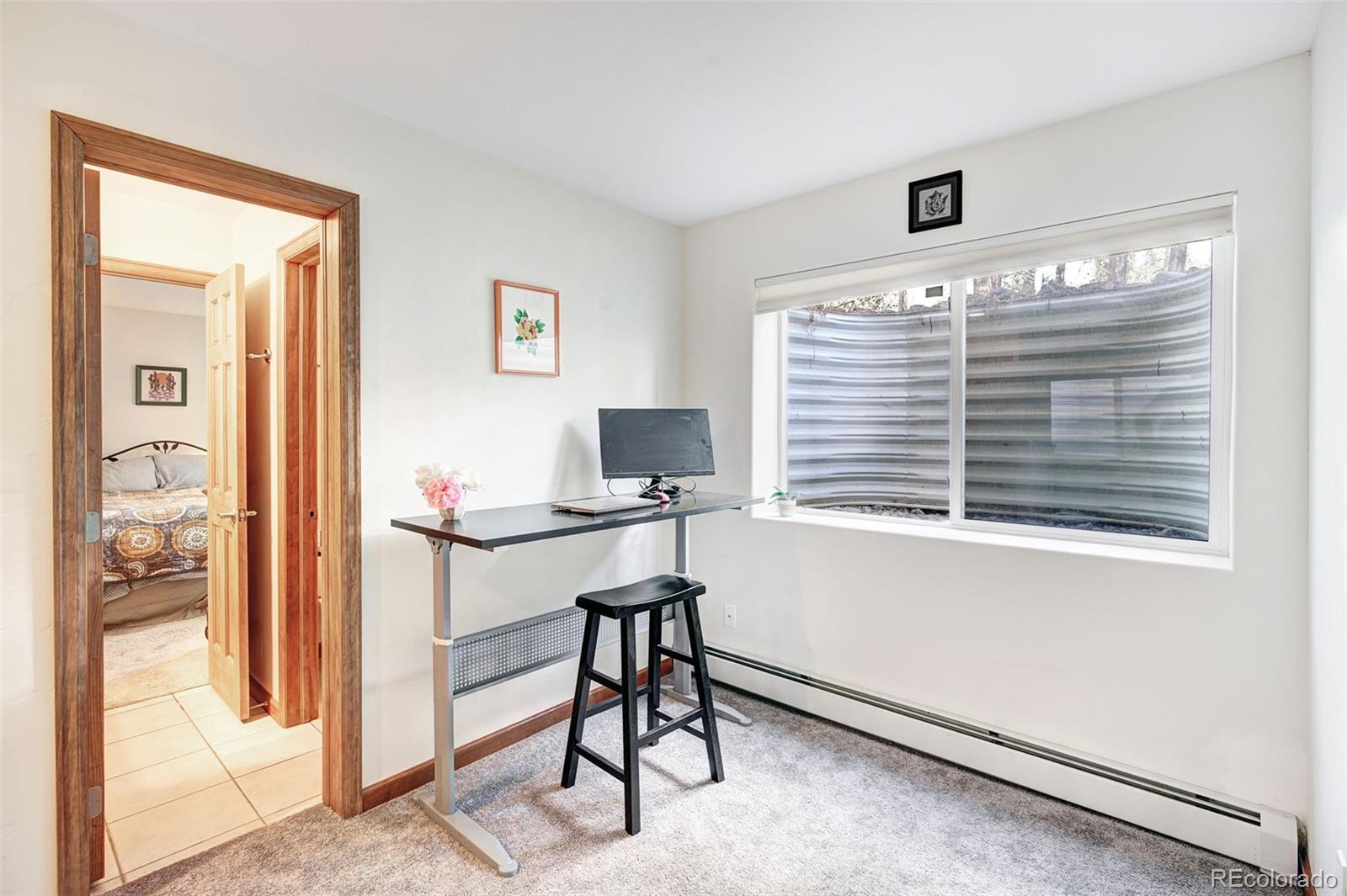 MLS Image #29 for 148  imogene circle,leadville, Colorado