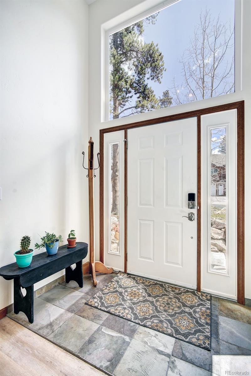 MLS Image #3 for 148  imogene circle,leadville, Colorado