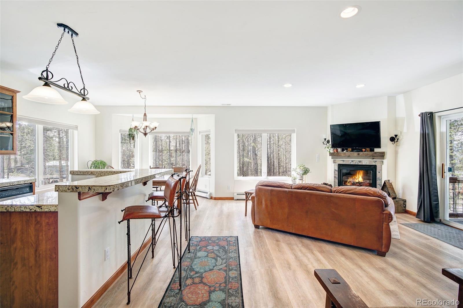 MLS Image #4 for 148  imogene circle,leadville, Colorado