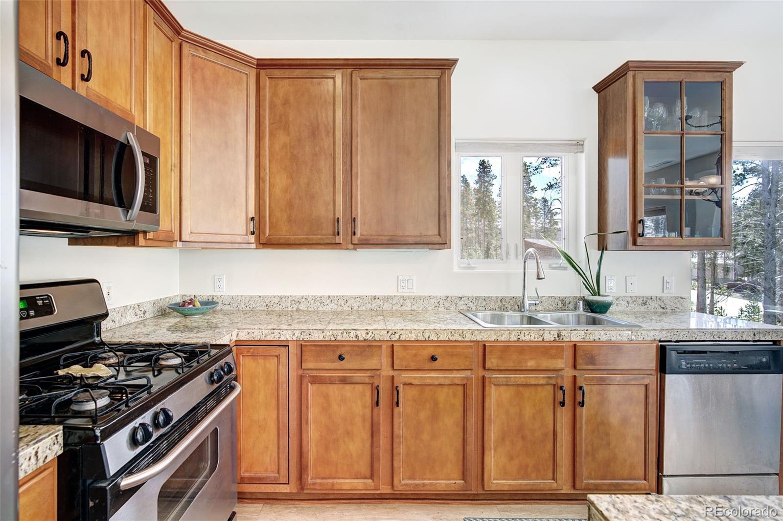 MLS Image #6 for 148  imogene circle,leadville, Colorado