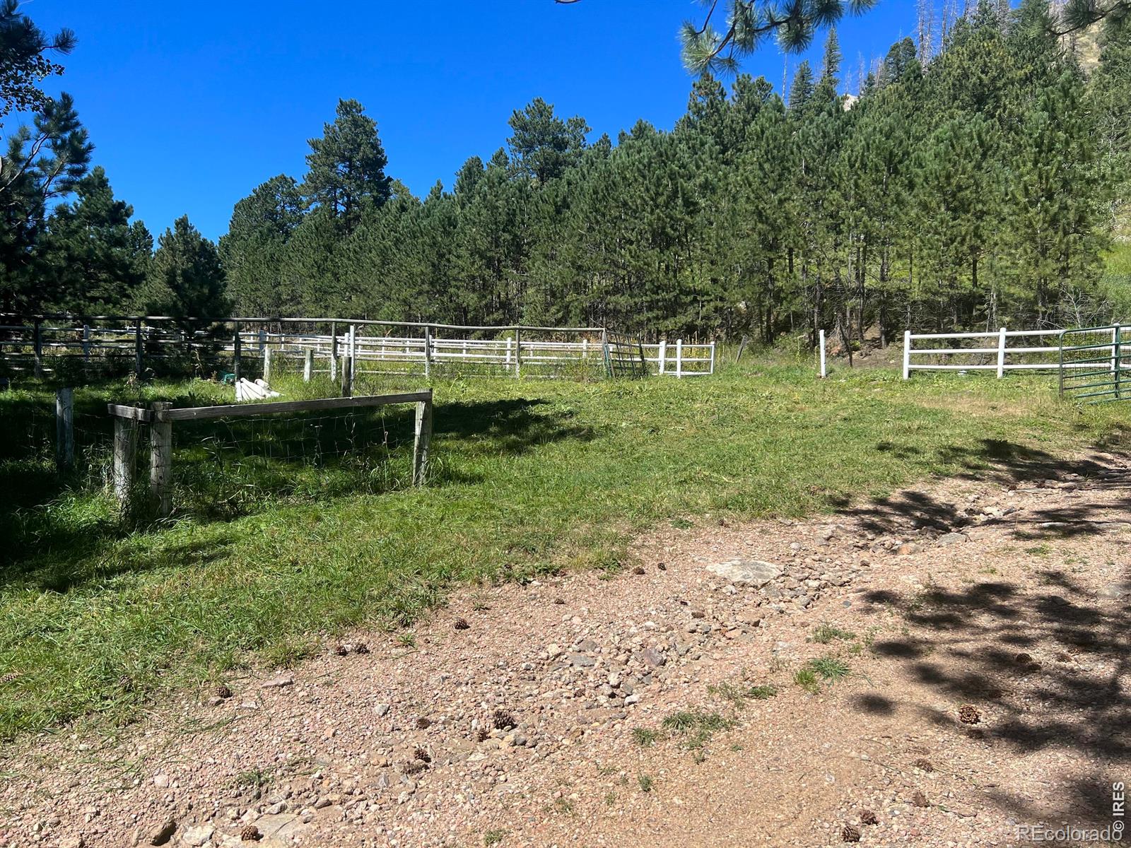 MLS Image #28 for 1268  spring valley road,bellvue, Colorado