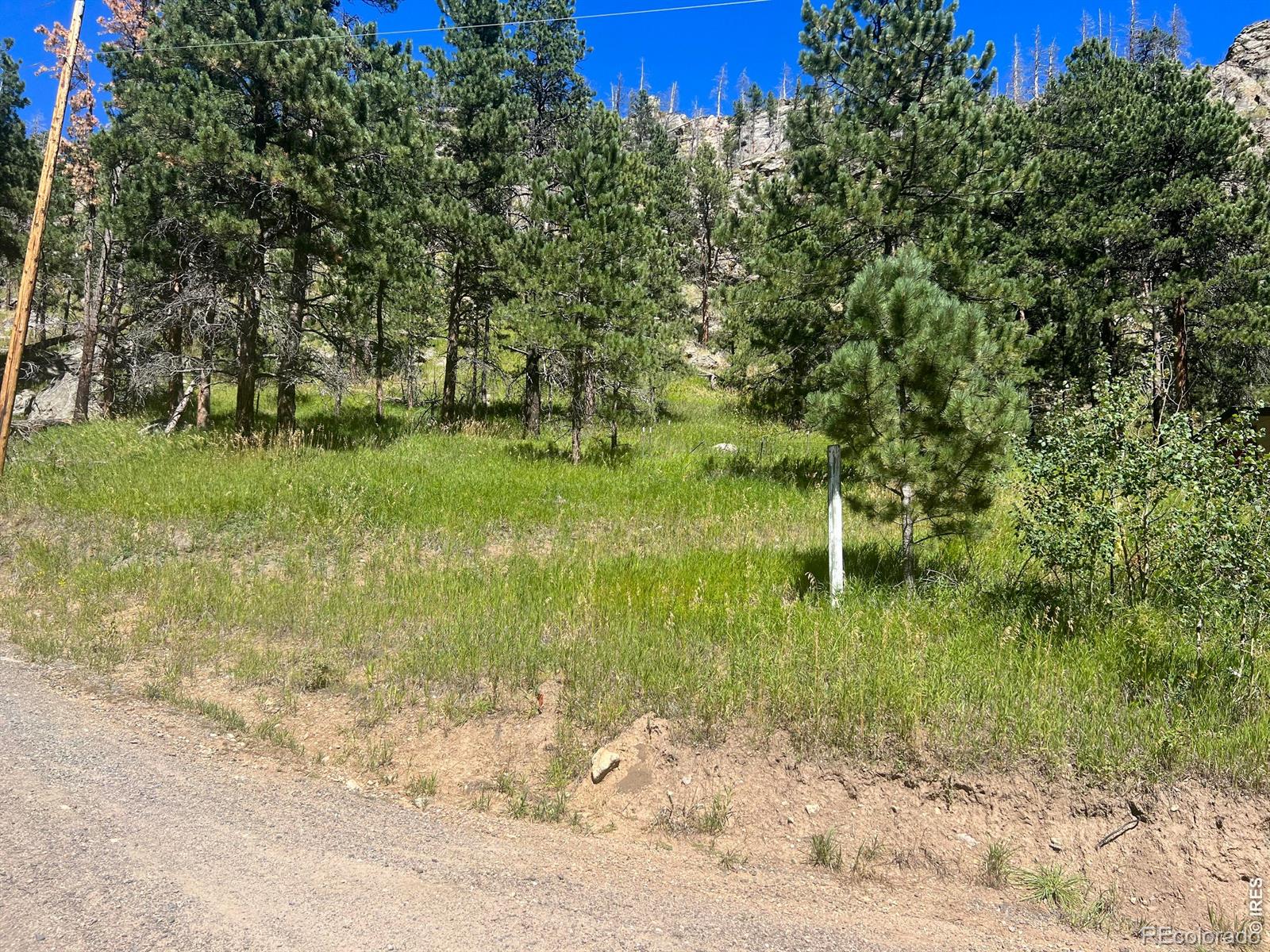 MLS Image #29 for 1268  spring valley road,bellvue, Colorado
