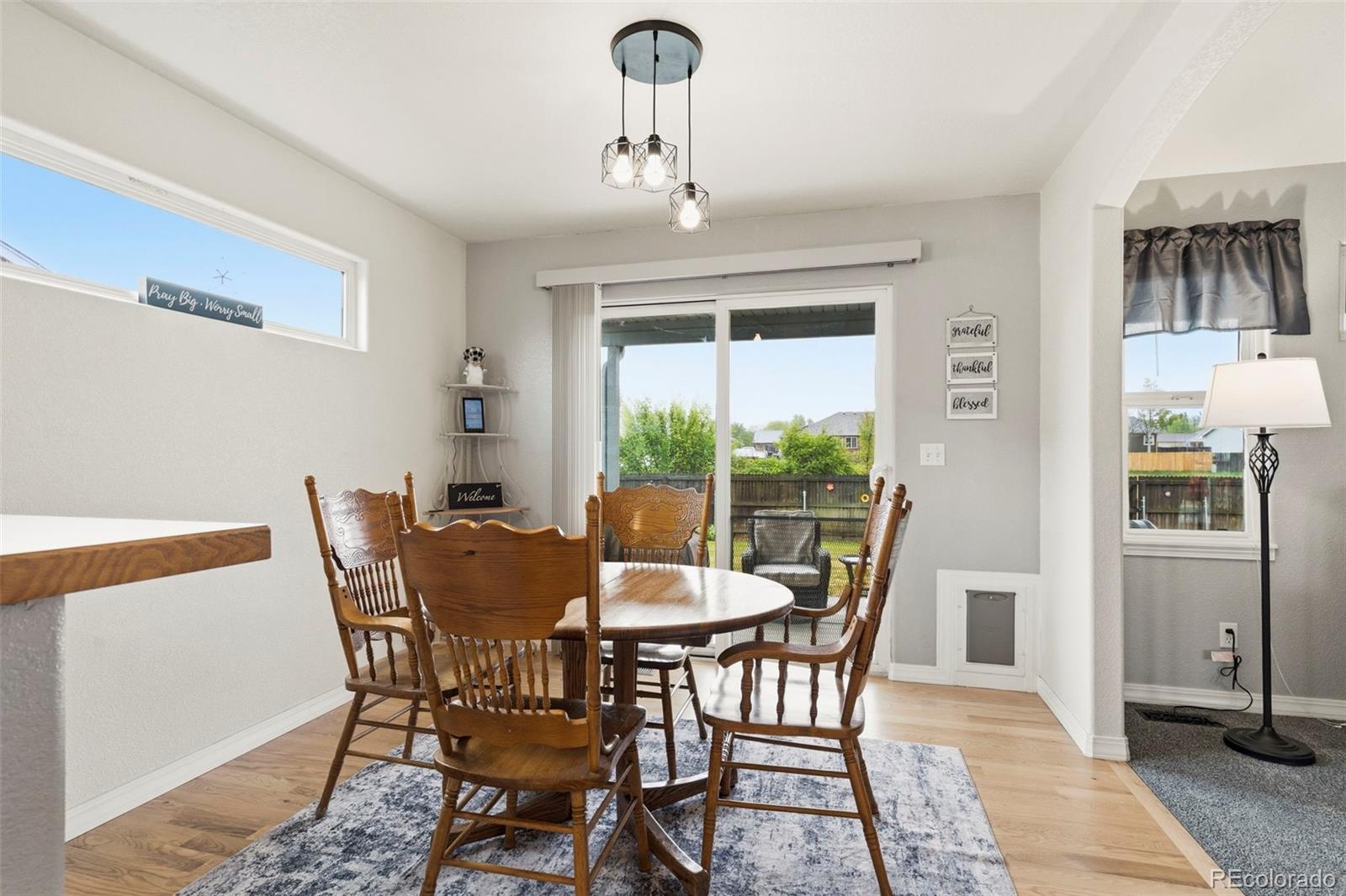 MLS Image #9 for 1288  cherrywood drive,brighton, Colorado