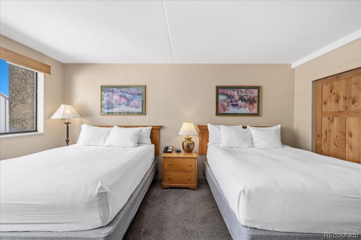 MLS Image #10 for 601  village road 313,breckenridge, Colorado