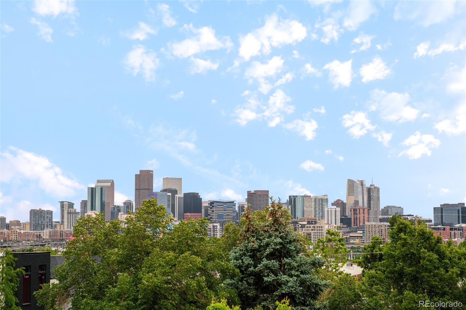 MLS Image #39 for 3985  mariposa street,denver, Colorado