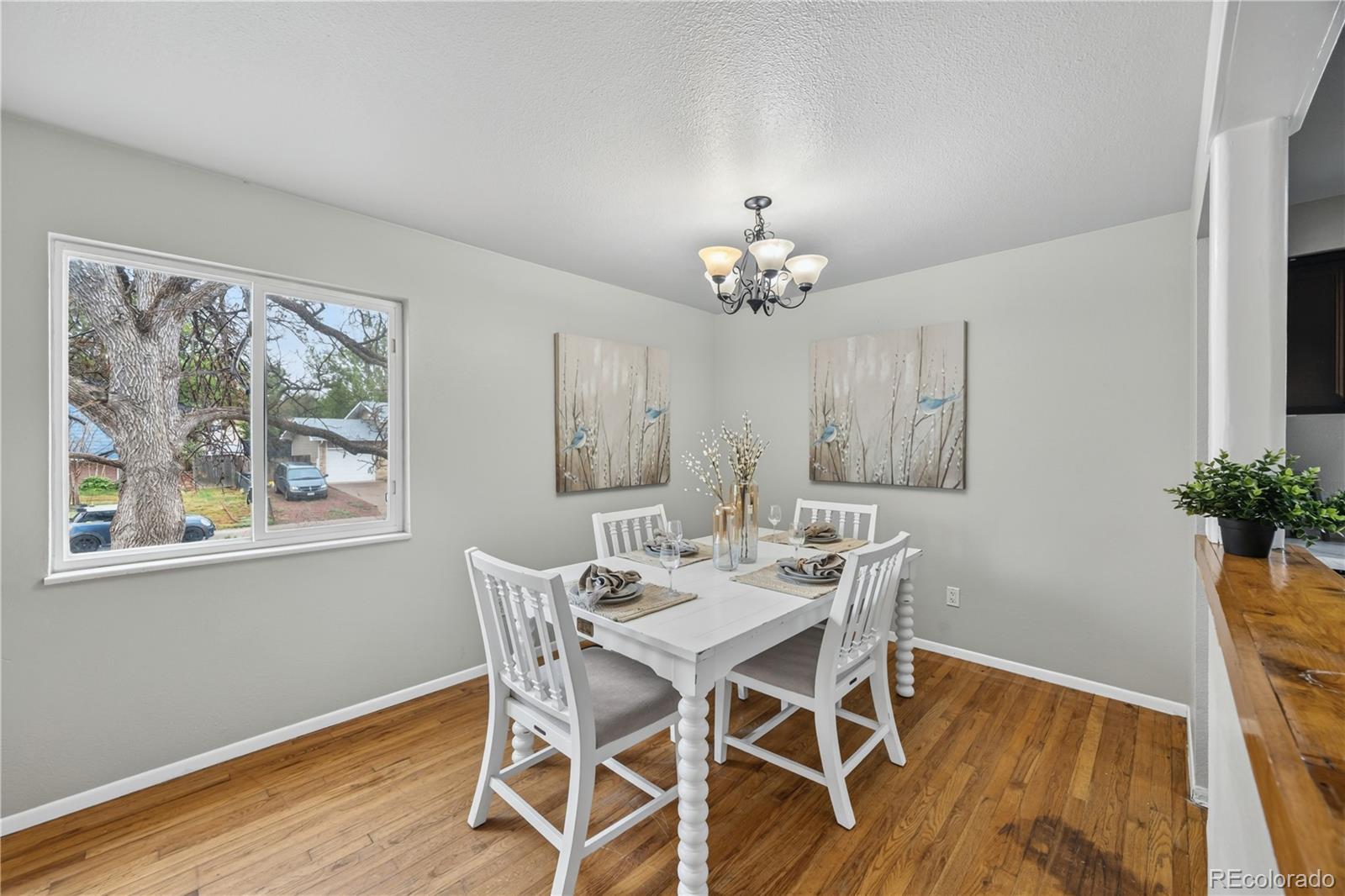 MLS Image #10 for 1026  drury lane,colorado springs, Colorado
