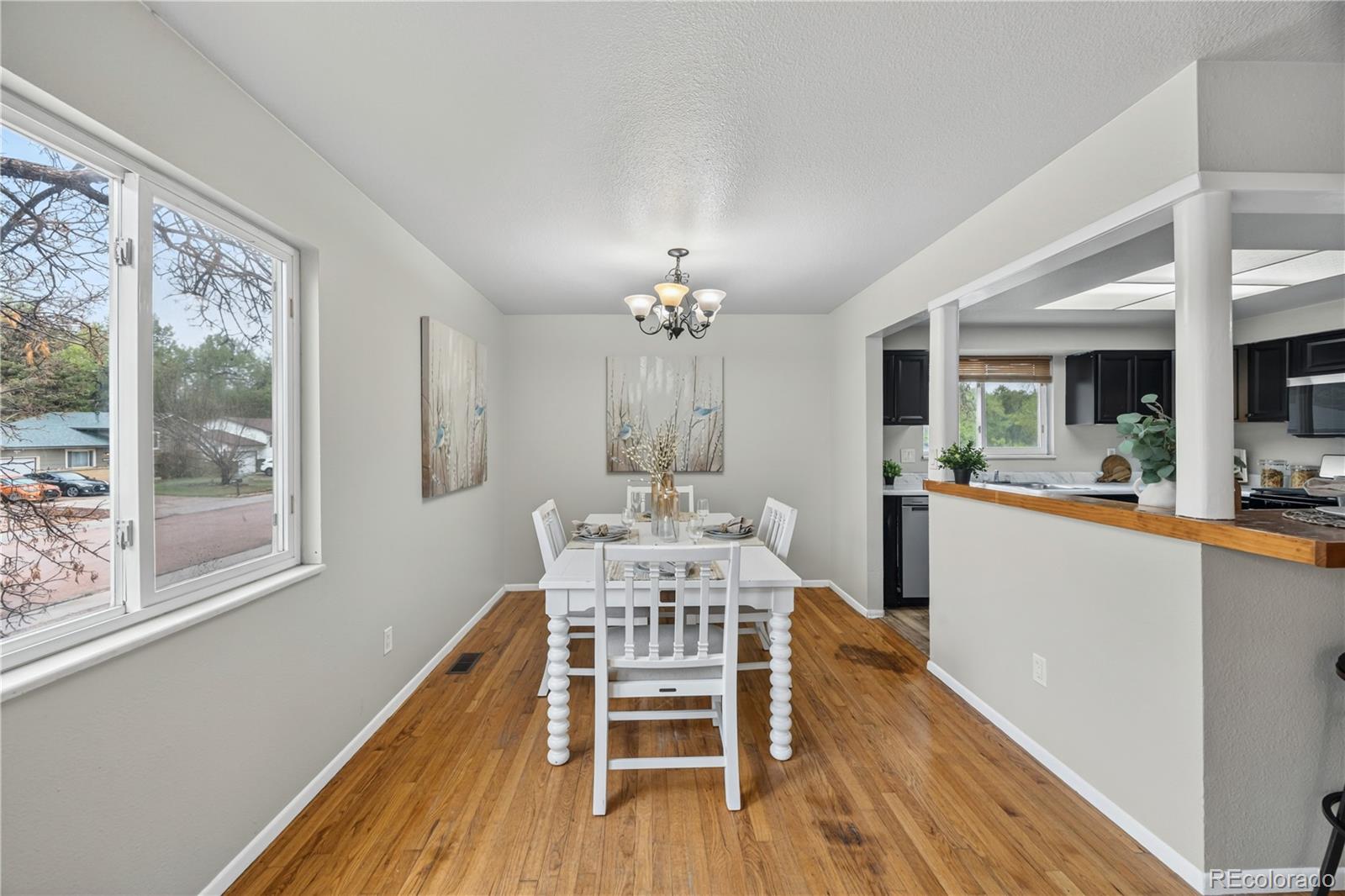 MLS Image #9 for 1026  drury lane,colorado springs, Colorado