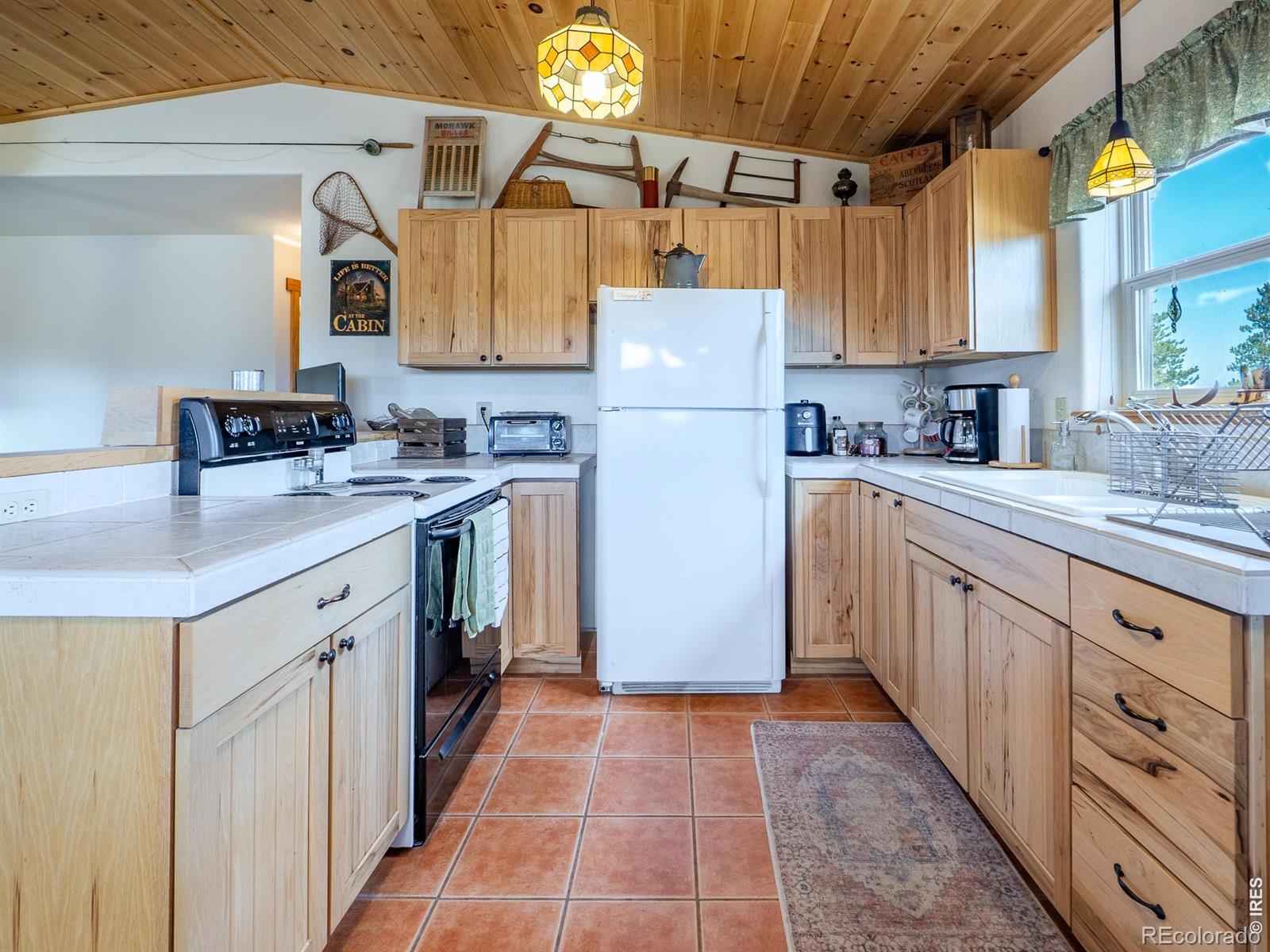 MLS Image #10 for 251  huron road,red feather lakes, Colorado