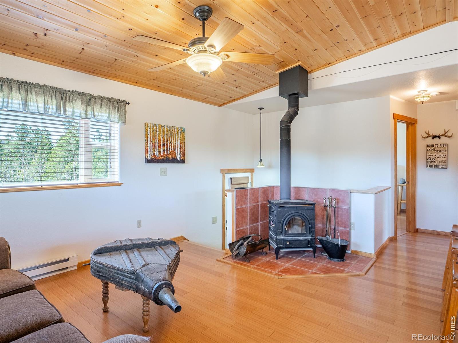 MLS Image #11 for 251  huron road,red feather lakes, Colorado