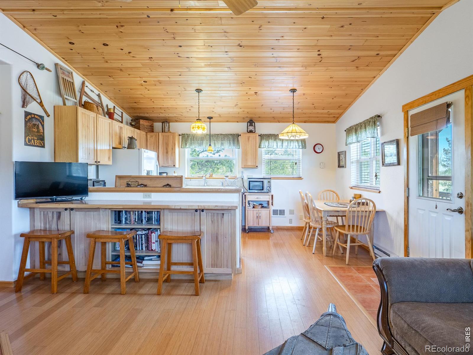 MLS Image #6 for 251  huron road,red feather lakes, Colorado