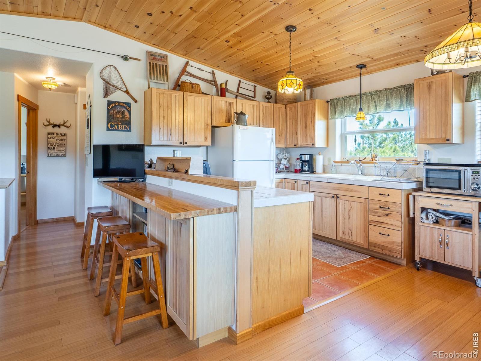 MLS Image #7 for 251  huron road,red feather lakes, Colorado