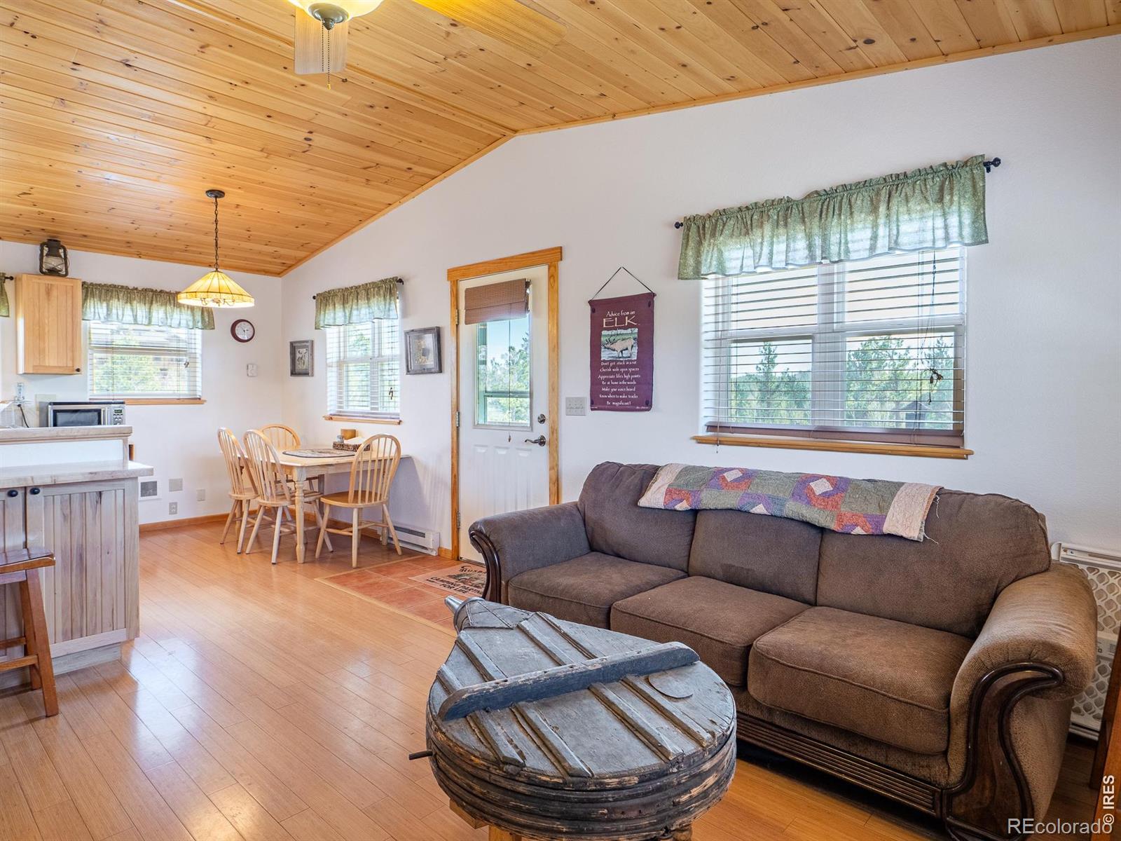 MLS Image #8 for 251  huron road,red feather lakes, Colorado