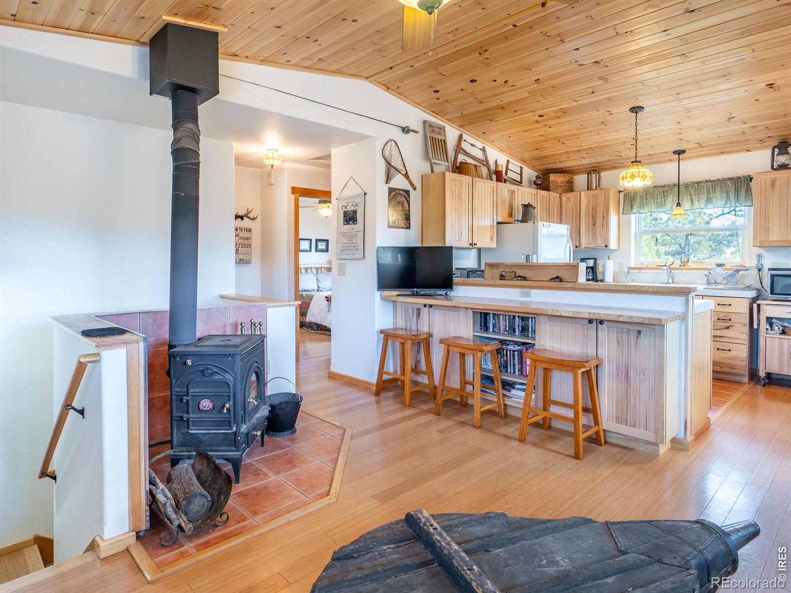 MLS Image #9 for 251  huron road,red feather lakes, Colorado